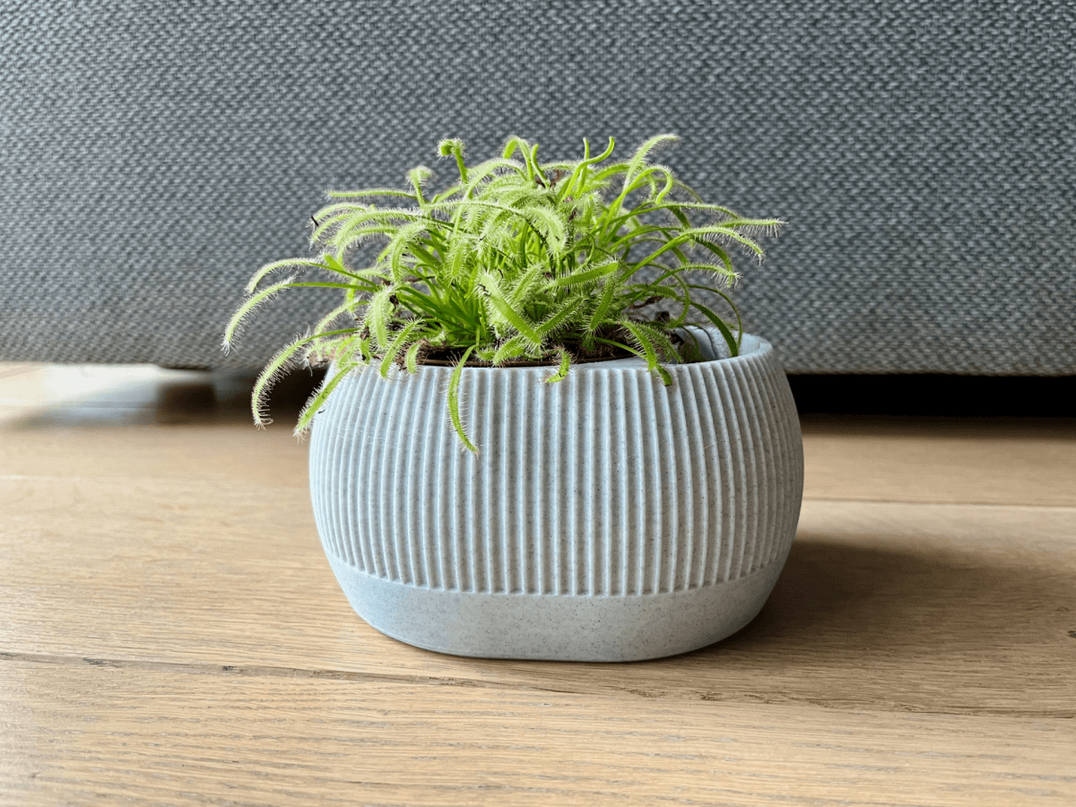 Vaso Autoirrigável com Nível de Água - Iris - Criativalia