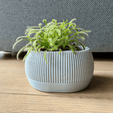 Vaso Autoirrigável com Nível de Água - Iris