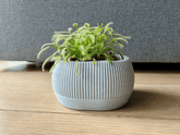 Vaso Autoirrigável com Nível de Água - Iris - Criativalia