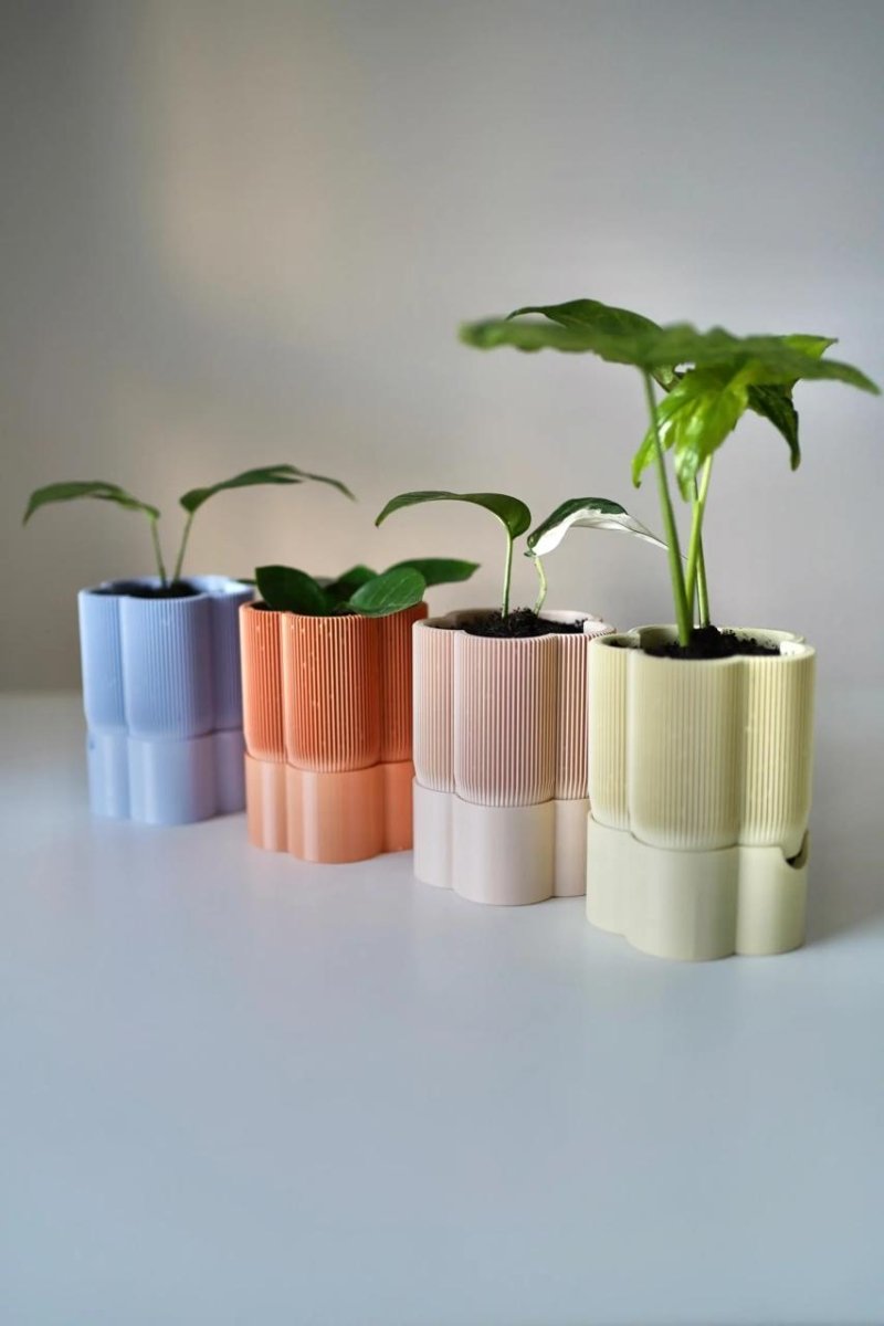 Vaso Autoirrigável Flollia - Criativalia