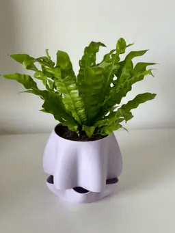 Vaso Autoirrigável Floralis - Criativalia