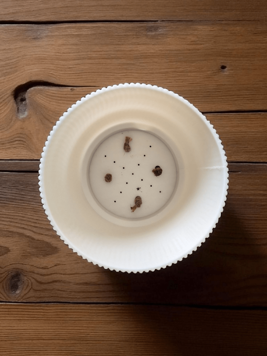 Vaso Autoirrigável RIB | Design Sustentável e Artesanal - Criativalia