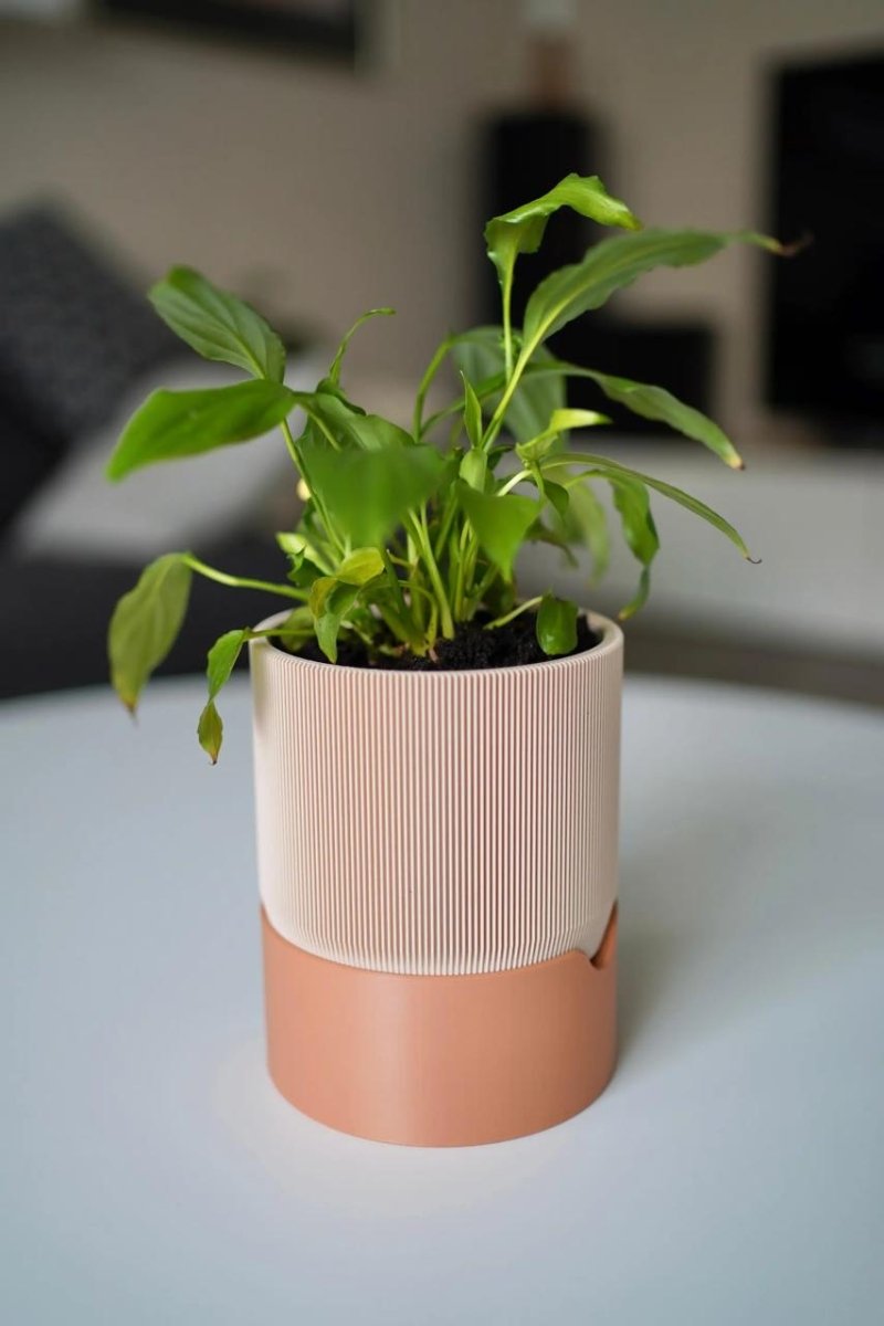 Vaso Autoirrigável RIB | Design Sustentável e Artesanal - Criativalia