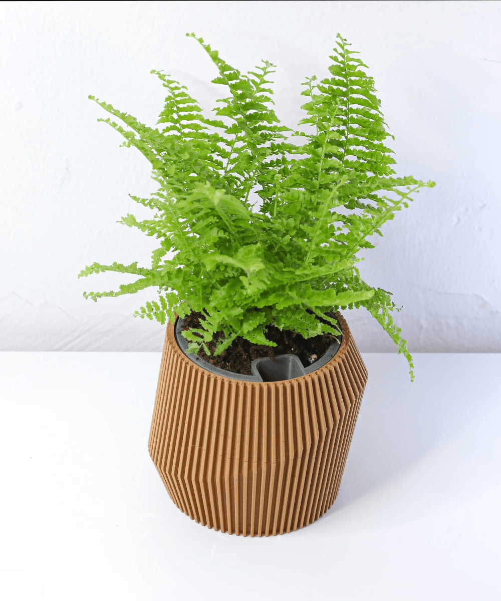 Vaso Autoirrigável Wave - Criativalia