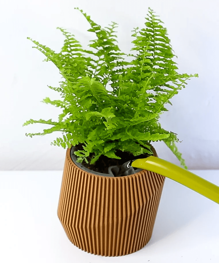 Vaso Autoirrigável Wave - Criativalia