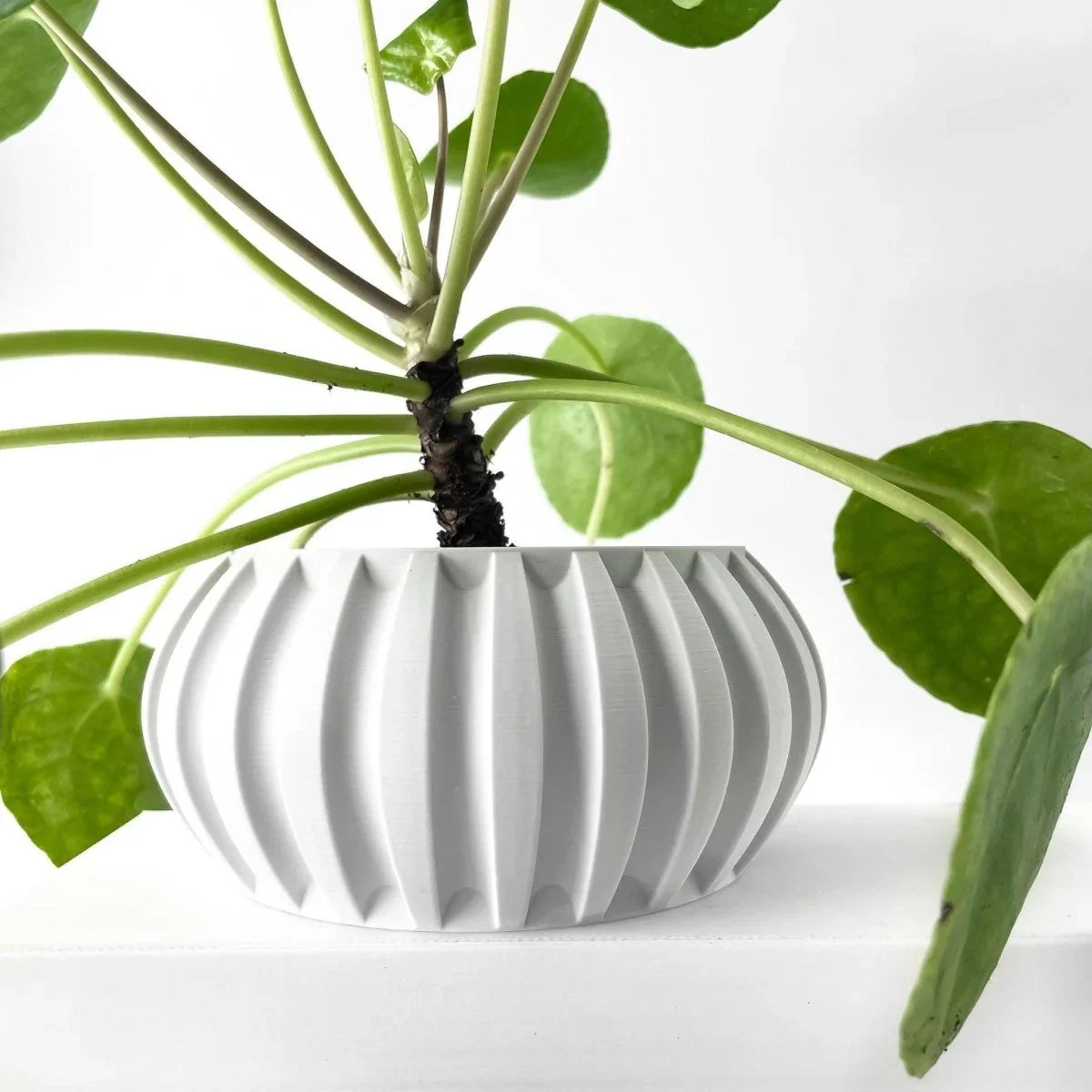 Vaso de Planta Alden - Criativalia