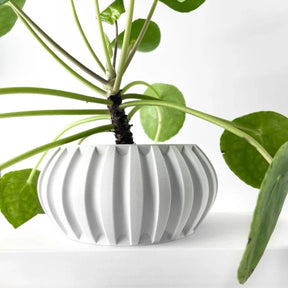 Vaso de Planta Alden - Criativalia
