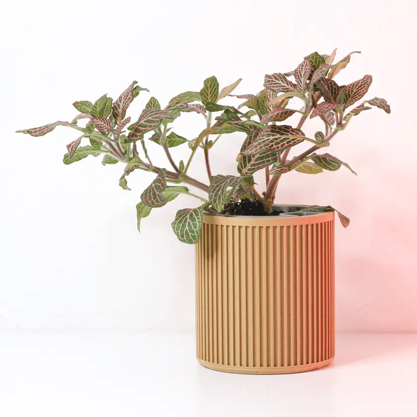 vaso de planta Alva – autoirrigavel - Criativalia