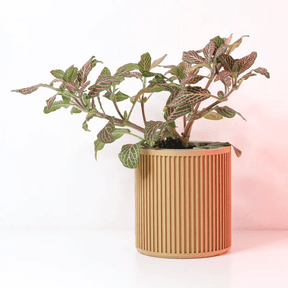 vaso de planta Alva – autoirrigavel - Criativalia