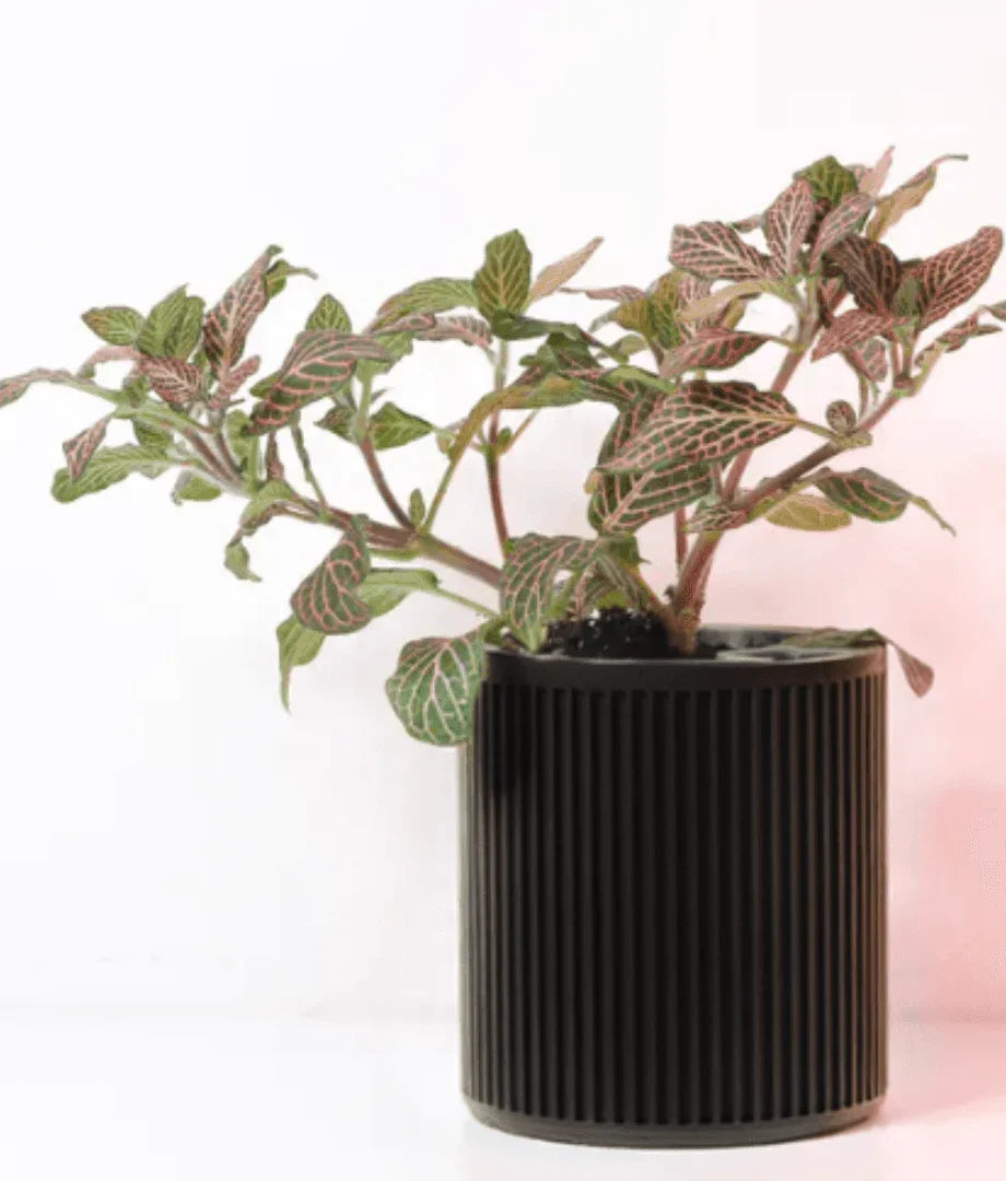 vaso de planta Alva – autoirrigavel - Criativalia