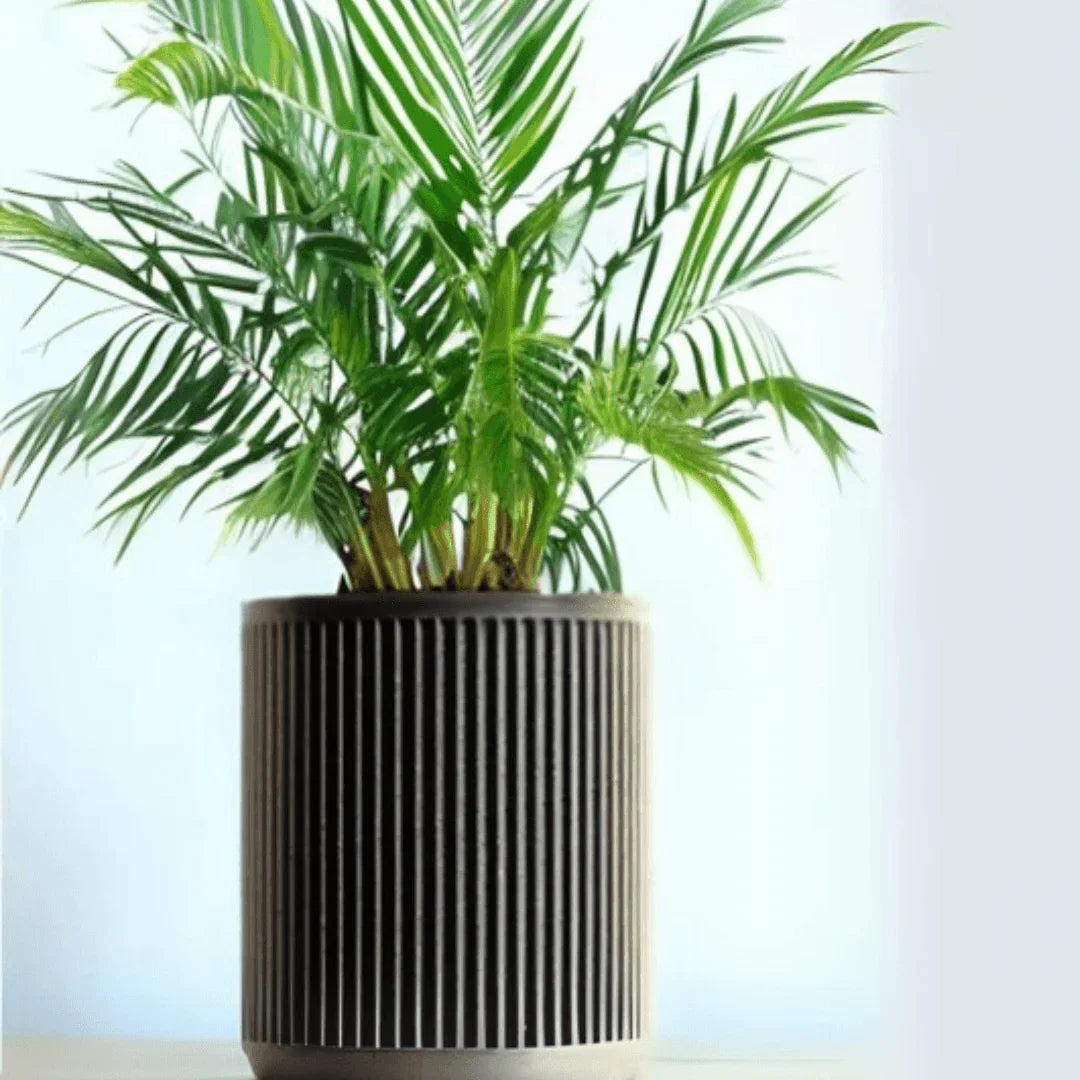 vaso de planta Alva – autoirrigavel - Criativalia