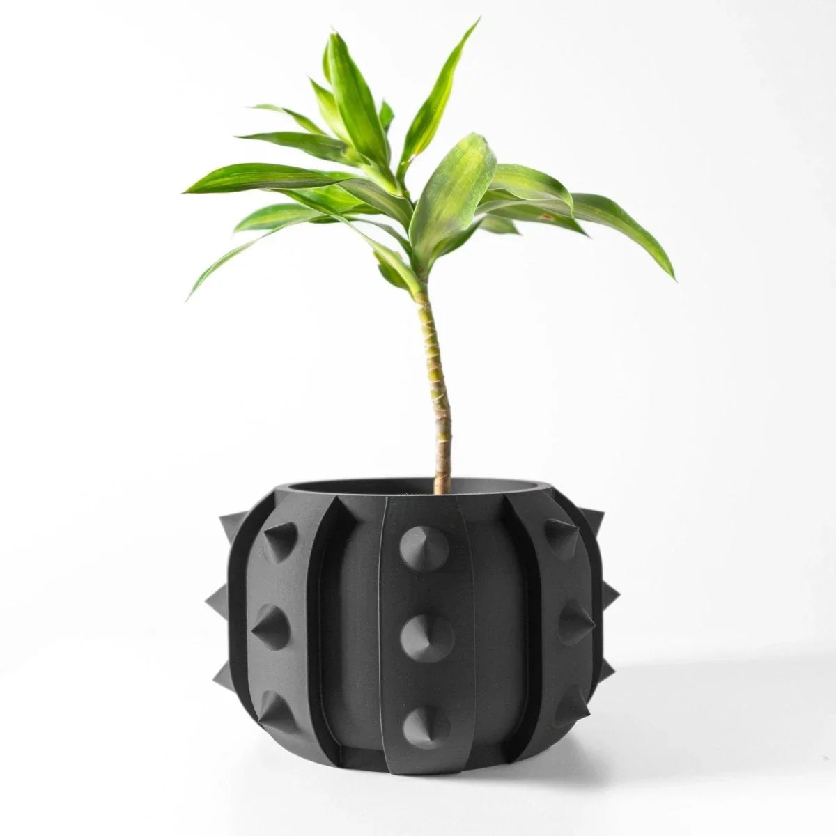 Vaso de Planta Alver - Criativalia