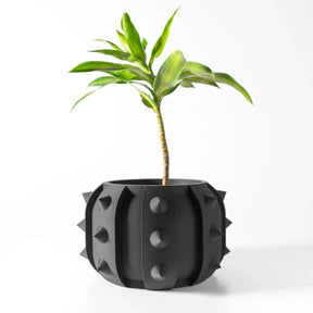 Vaso de Planta Alver - Criativalia