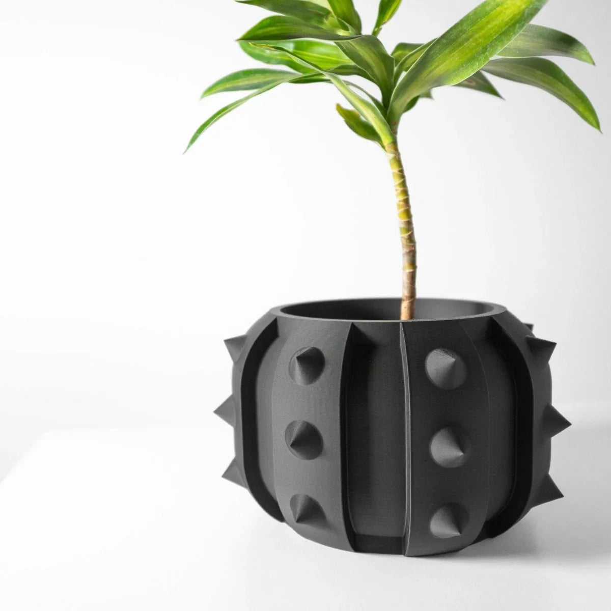 Vaso de Planta Alver - Criativalia