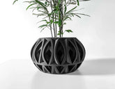Vaso de Planta Ando - Criativalia