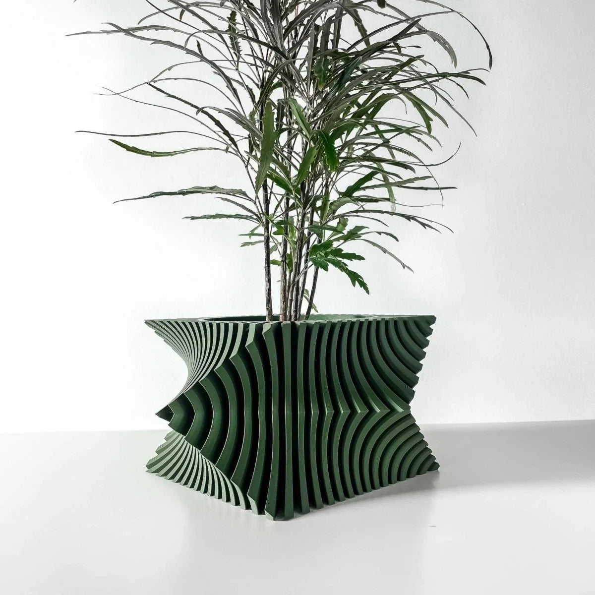 Vaso De planta Anio - Criativalia