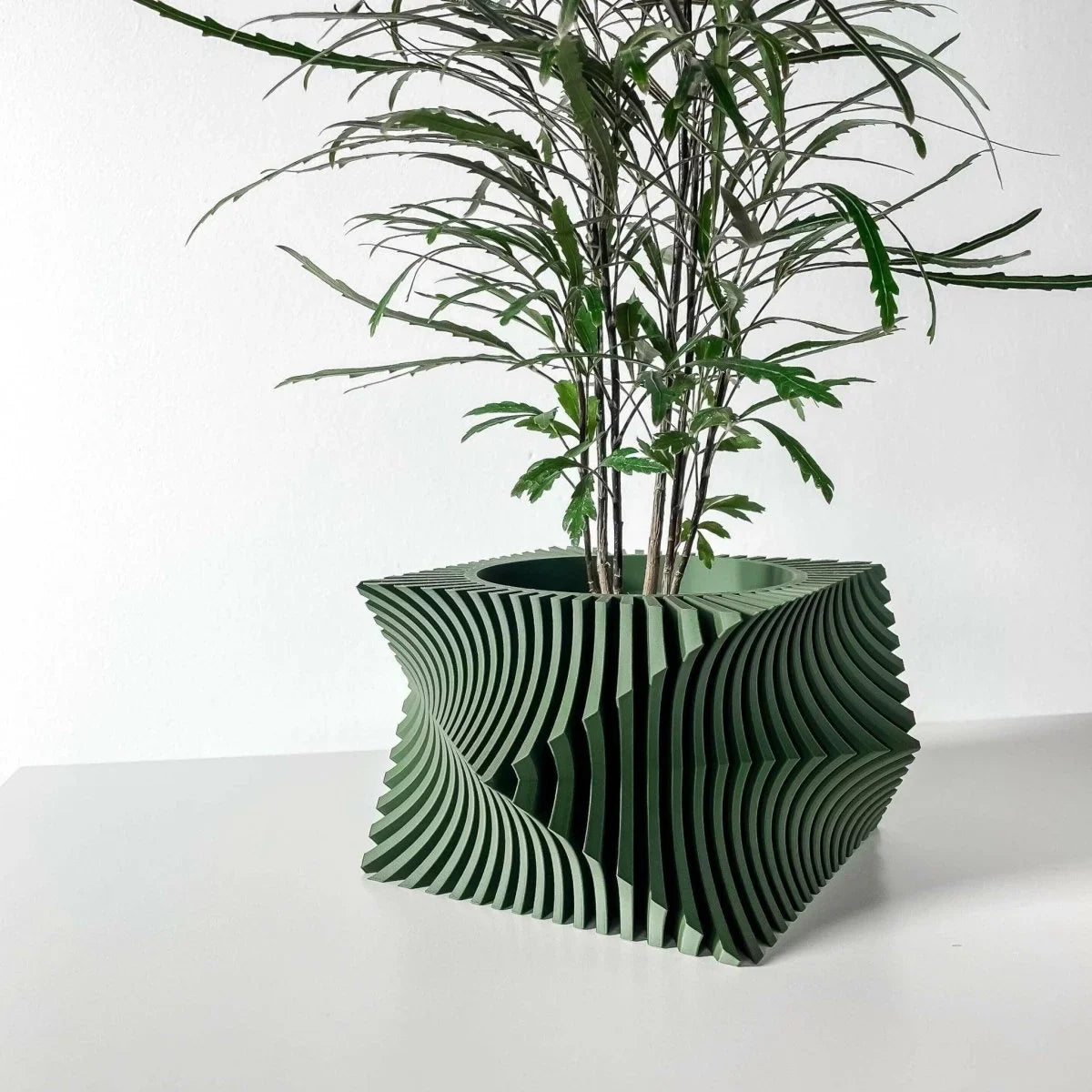 Vaso De planta Anio - Criativalia
