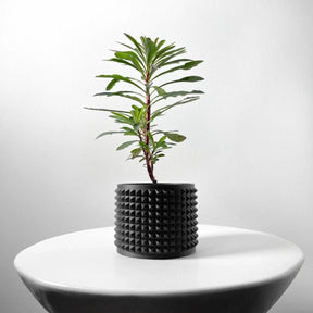 Vaso de Planta Anver - Criativalia