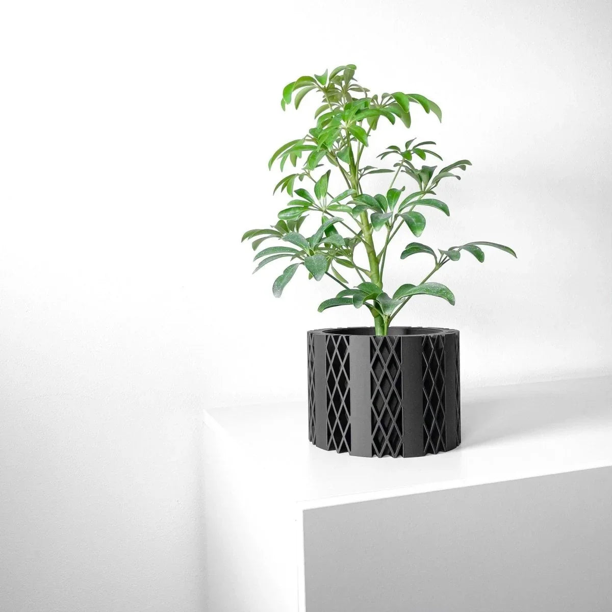 Vaso de Planta Arven - Criativalia