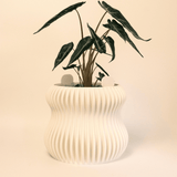 Vaso de planta autoirrigável Selene