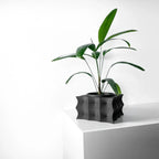 Vaso De Planta Averth - Criativalia