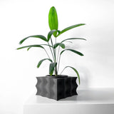 Vaso De Planta Averth