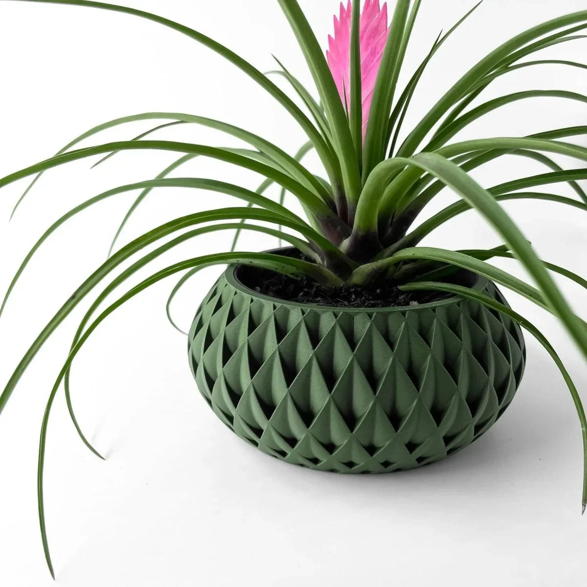 Vaso de Planta Cinor - Criativalia