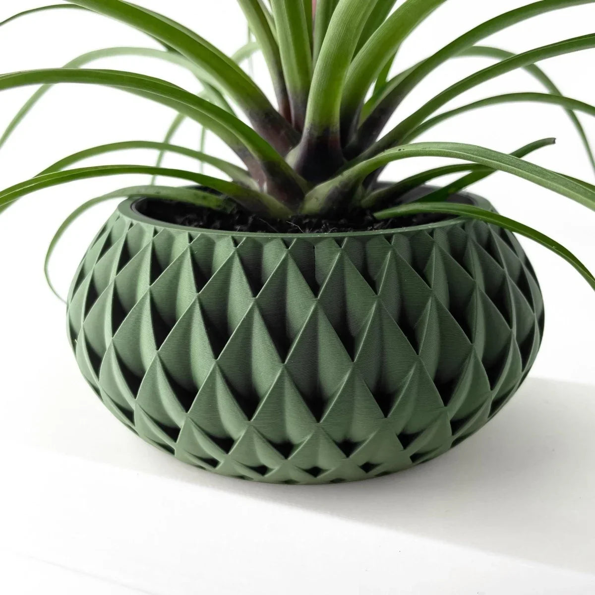 Vaso de Planta Cinor - Criativalia