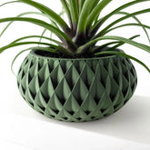 Vaso de Planta Cinor - Criativalia