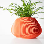 Vaso de Planta Davi - Criativalia