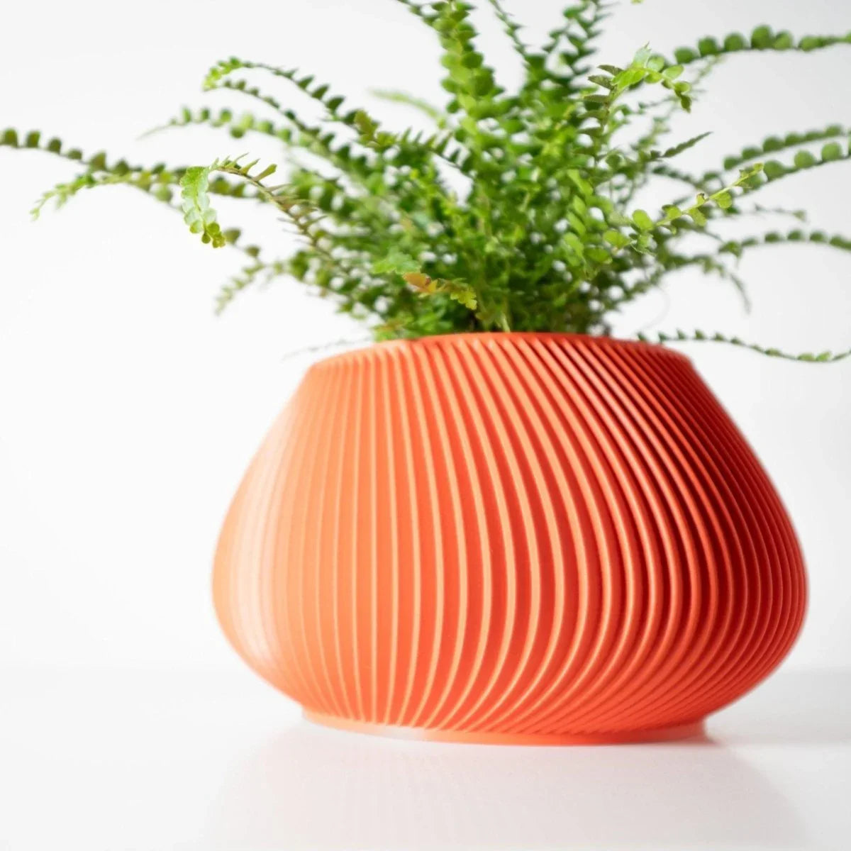 Vaso de Planta Davi - Criativalia