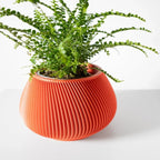 Vaso de Planta Davi - Criativalia