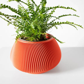 Vaso de Planta Davi - Criativalia