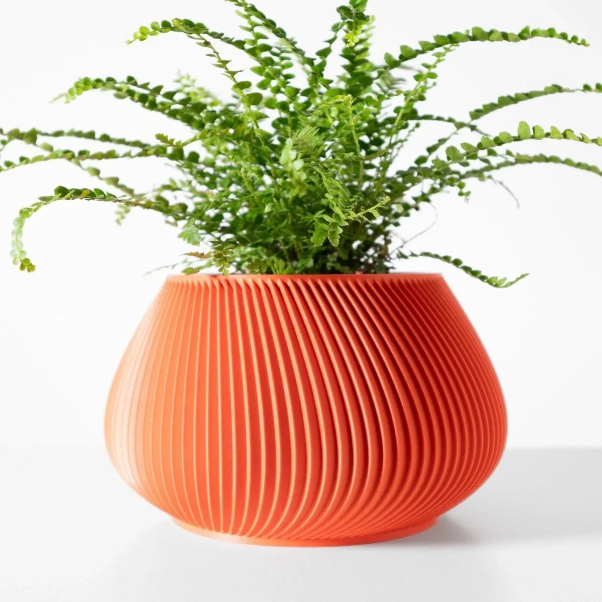 Vaso de Planta Davi - Criativalia