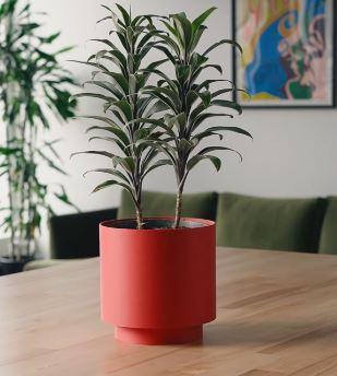 Vaso de Planta Harlow - Criativalia