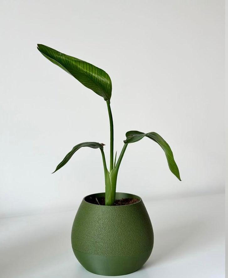 Vaso de Planta Kapka – autoirrigavel - Criativalia