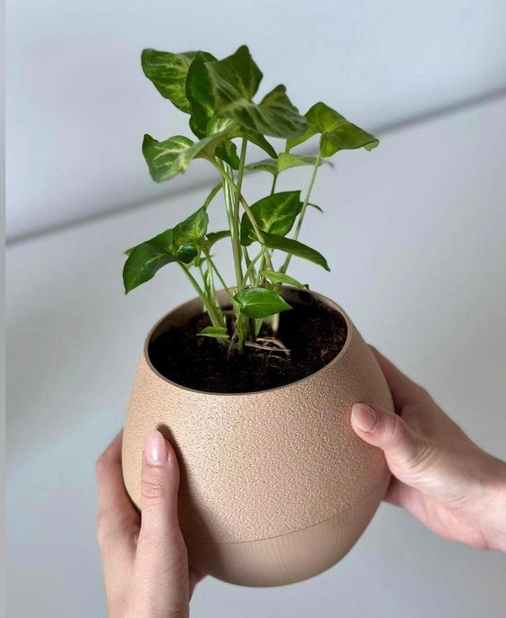 Vaso de Planta Kapka – autoirrigavel - Criativalia