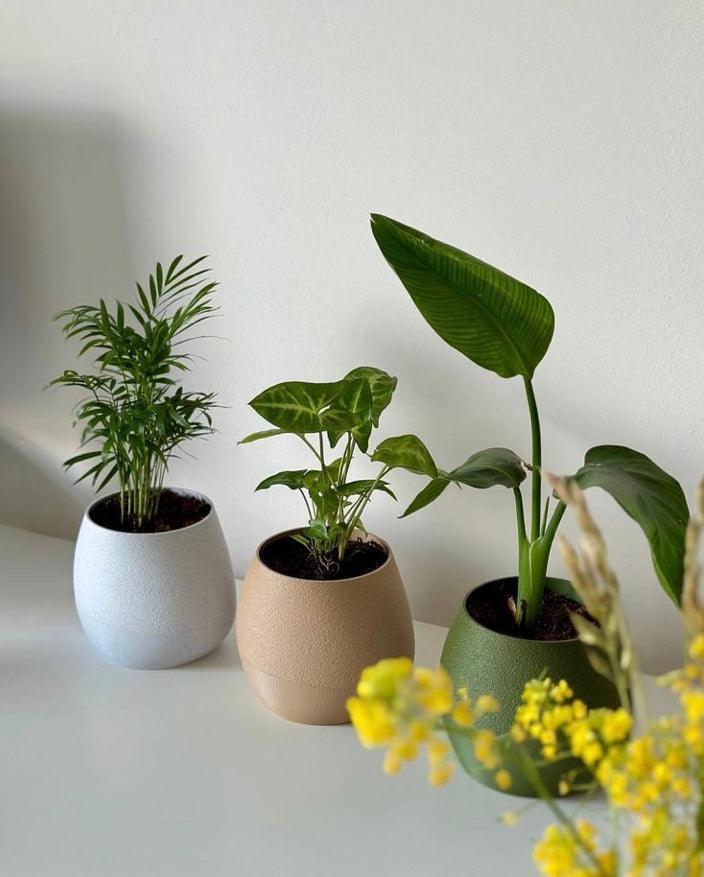 Vaso de Planta Kapka – autoirrigavel - Criativalia