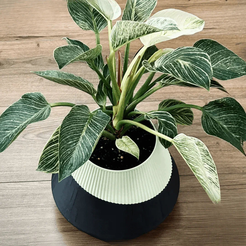 vaso de planta Pisa – autoirrigavel - Criativalia
