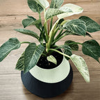 vaso de planta Pisa – autoirrigavel - Criativalia