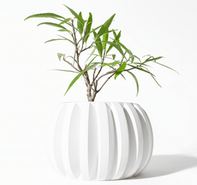 Vaso Jone – Beleza Sustentável e Artesanal para Suas Plantas - Criativalia