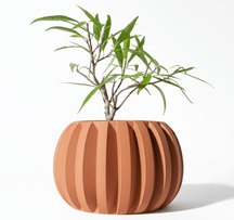 Vaso Jone – Beleza Sustentável e Artesanal para Suas Plantas - Criativalia