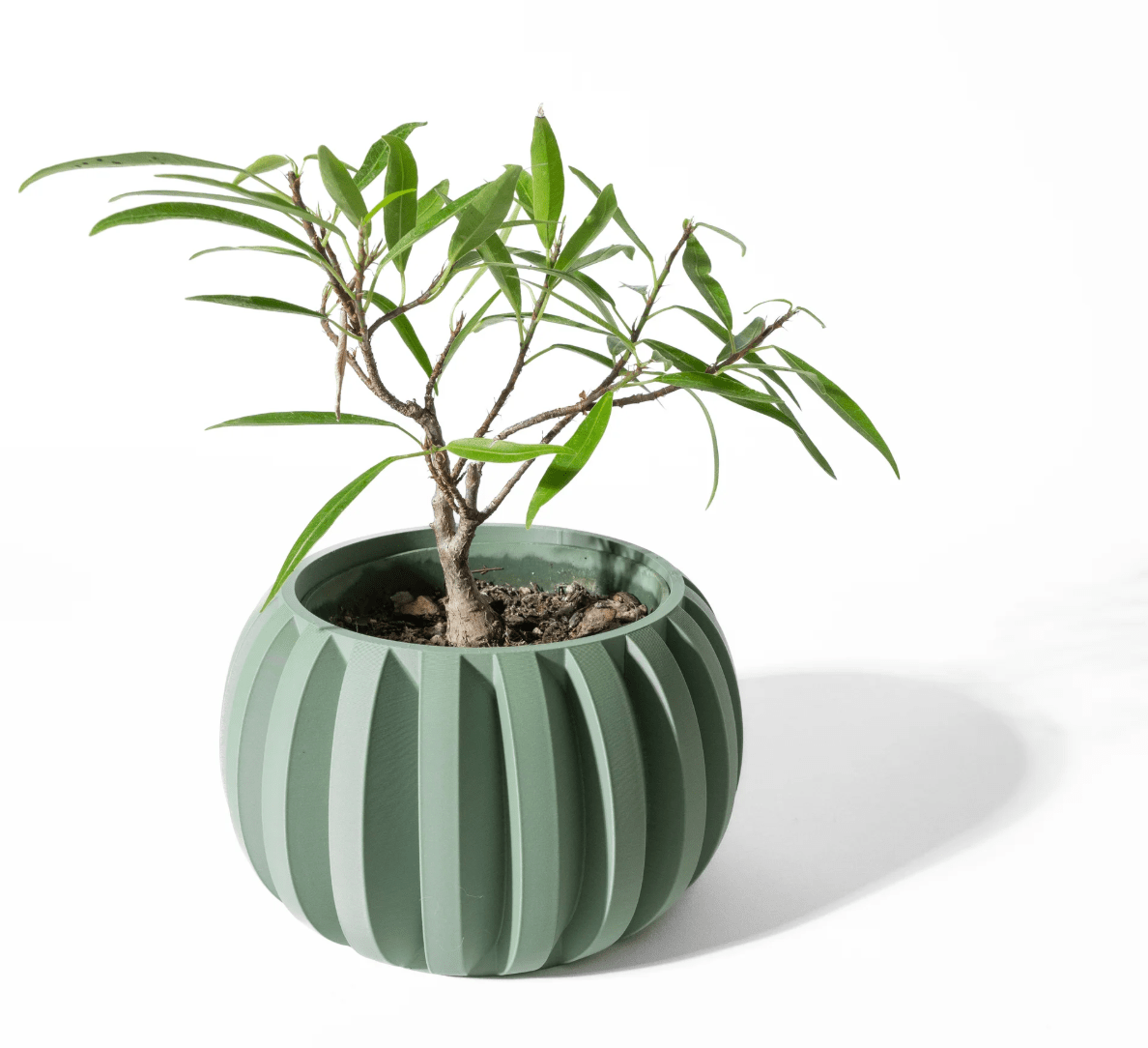 Vaso Jone – Beleza Sustentável e Artesanal para Suas Plantas - Criativalia